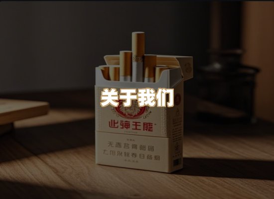 关于蓝帝网